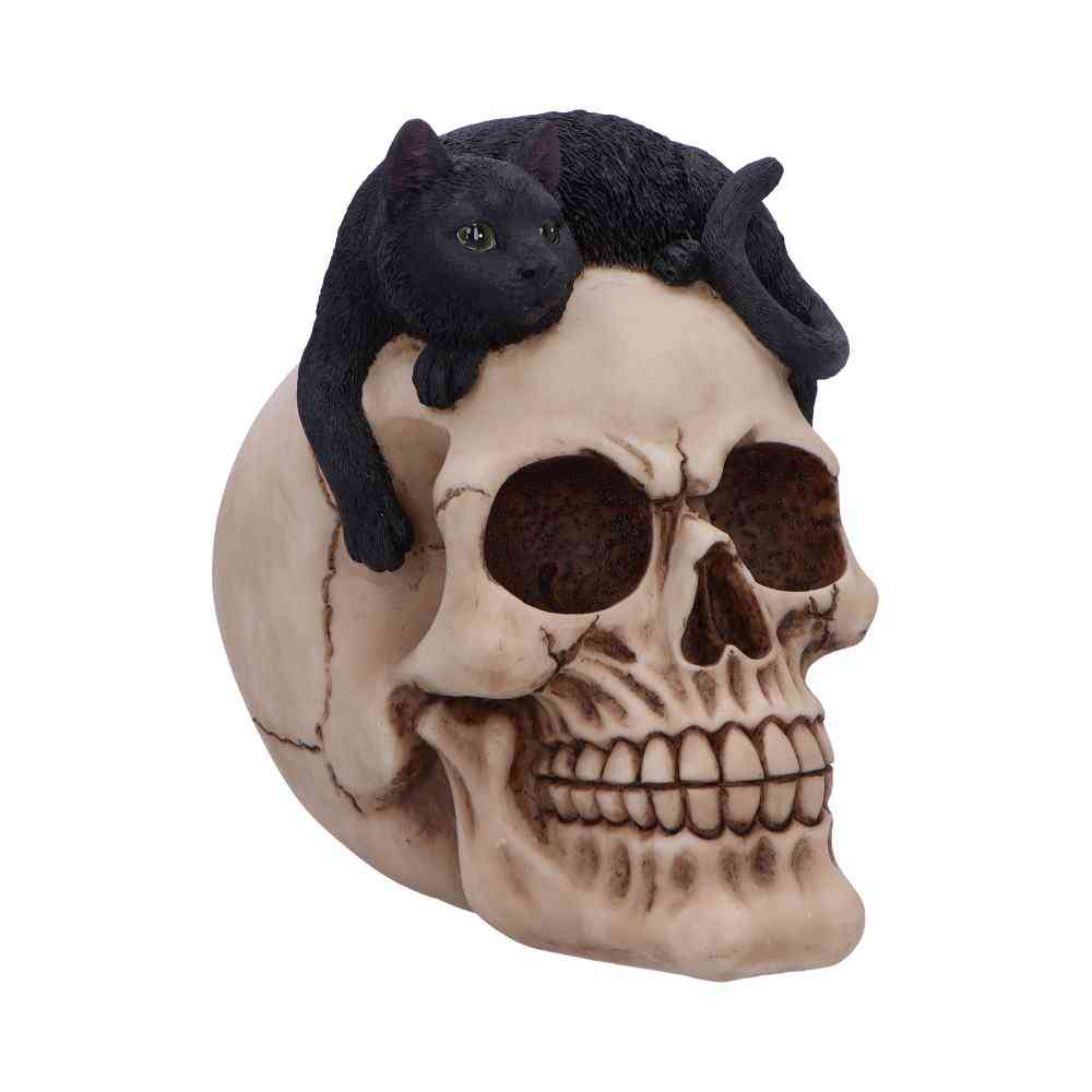 Nemesis Now - Forever Friend 14.5cm Beeld/figuur - Schedel - Multicolours